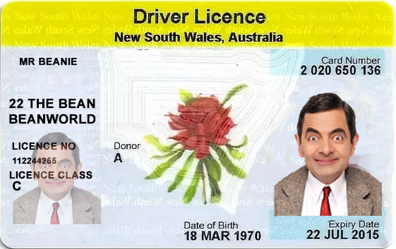p1 licence